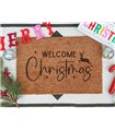 Welcome Christmas